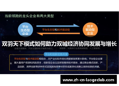 双羽天下模式如何助力双城经济协同发展与增长 双羽天下模式如何助力双城经济协同发展与增长
