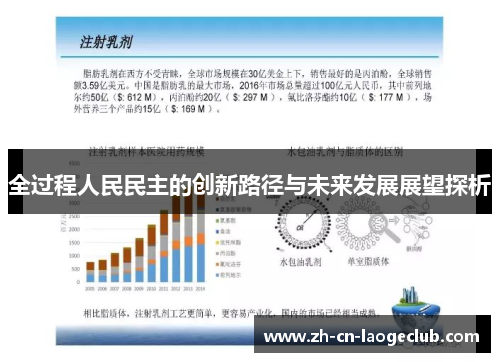 全过程人民民主的创新路径与未来发展展望探析 全过程人民民主的创新路径与未来发展展望探析