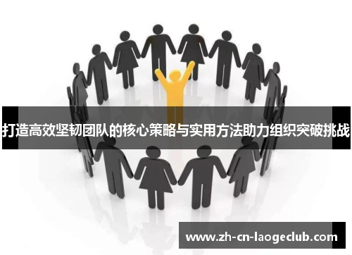 打造高效坚韧团队的核心策略与实用方法助力组织突破挑战 打造高效坚韧团队的核心策略与实用方法助力组织突破挑战