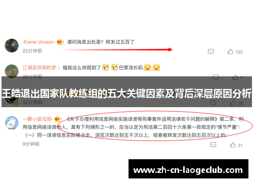 王皓退出国家队教练组的五大关键因素及背后深层原因分析