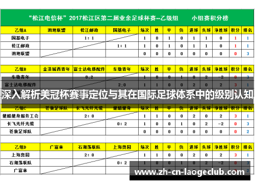 深入解析美冠杯赛事定位与其在国际足球体系中的级别认知