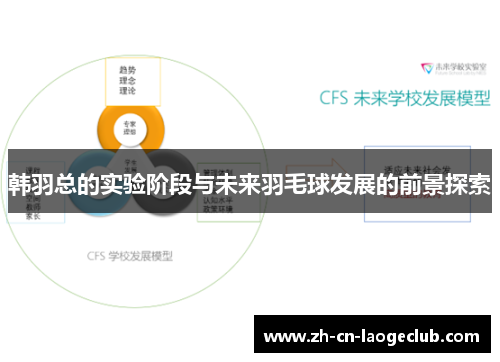 韩羽总的实验阶段与未来羽毛球发展的前景探索 韩羽总的实验阶段与未来羽毛球发展的前景探索