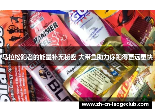 马拉松跑者的能量补充秘密 大带鱼助力你跑得更远更快 马拉松跑者的能量补充秘密 大带鱼助力你跑得更远更快