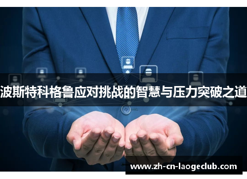 波斯特科格鲁应对挑战的智慧与压力突破之道 波斯特科格鲁应对挑战的智慧与压力突破之道