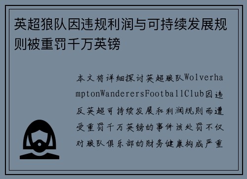 英超狼队因违规利润与可持续发展规则被重罚千万英镑